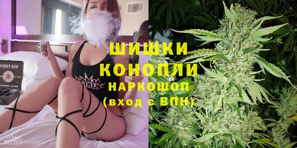 гашиш Богданович