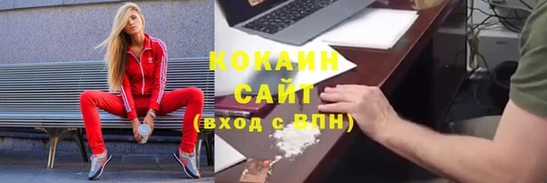 гашиш Богданович