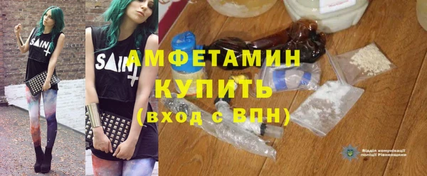 индика Протвино