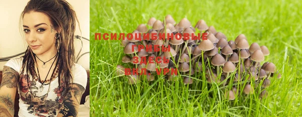 марки nbome Пролетарск