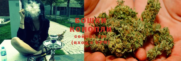 гашиш Богданович