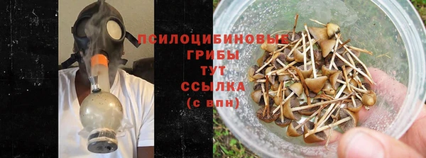MDMA Premium VHQ Богородицк