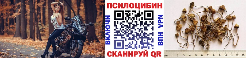 Псилоцибиновые грибы MAGIC MUSHROOMS  Можайск 