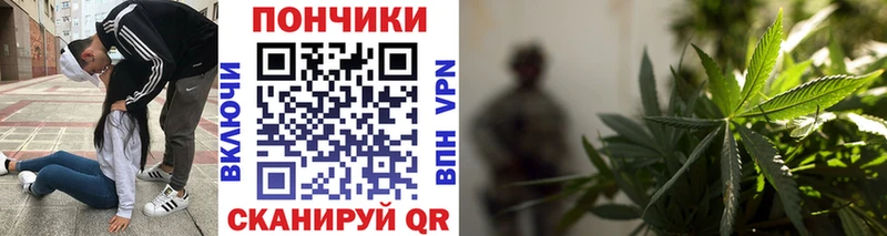 Бошки марихуана сатива  Можайск 